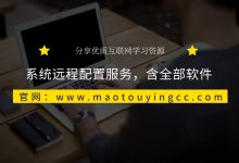 系统远程配置服务-猫头鹰源码-毕业设计