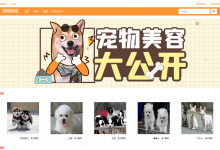 【原创】基于SSM的宠物商城系统(含参考文档)-猫头鹰源码-毕业设计