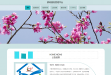 基于springboot+vue的家政服务系统(前后端分离)(含参考论文)-猫头鹰源码-毕业设计