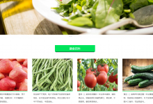 【原创】基于springboot+vue的膳食管理系统(前后端分离)(含参考文档)-猫头鹰源码-毕业设计